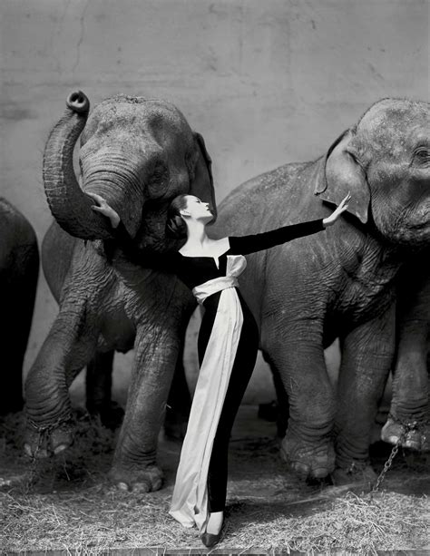 Dovima with Elephants, Evening Dress by Dior, 